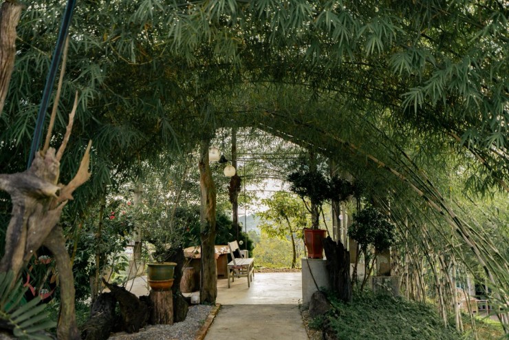Gallery image 5